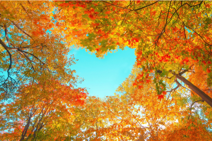 shutterstock_1816260440