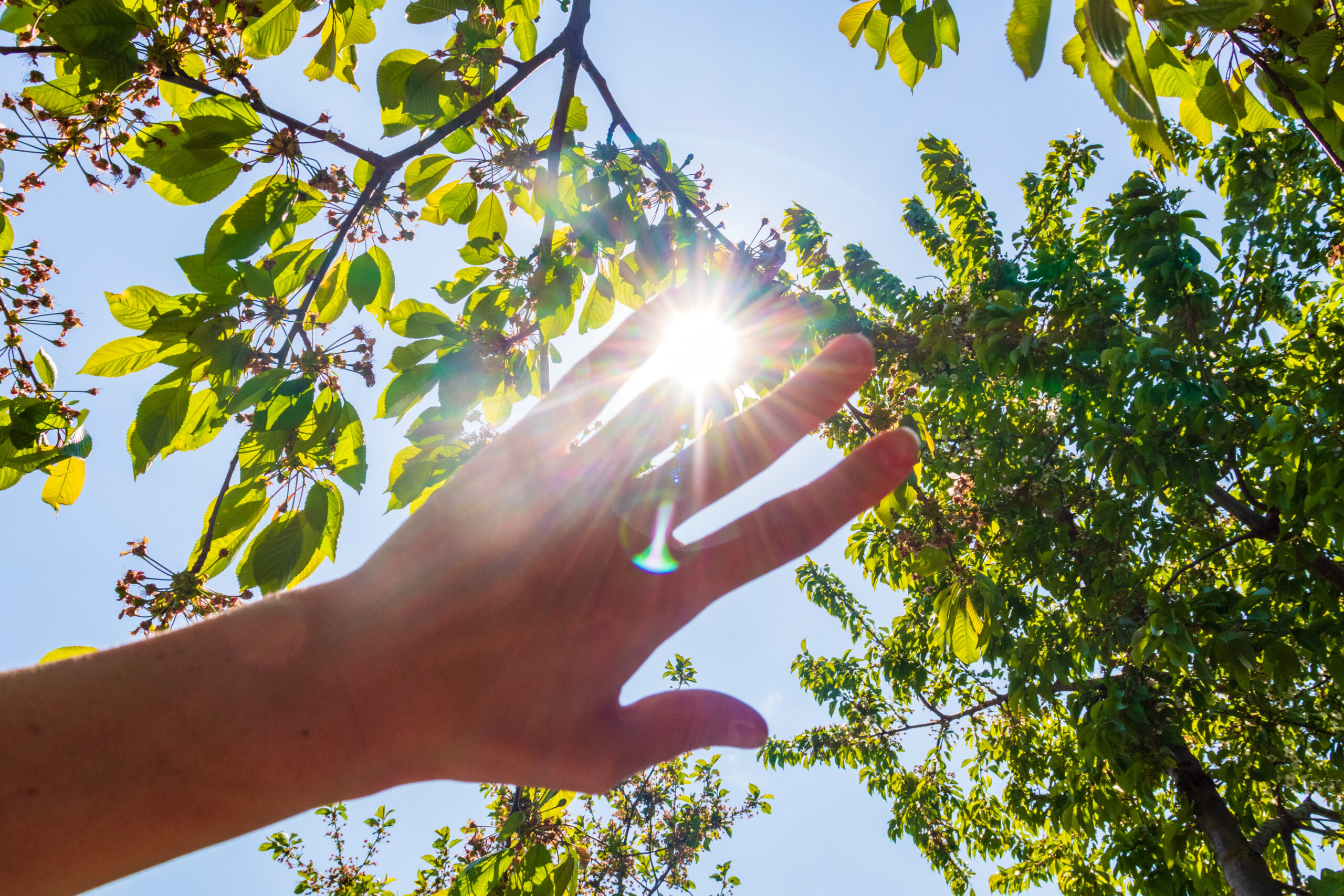 Faceless,Picture,,Man's,Hand,Covering,Sunlight,,Sun,Shiing,Through,Hand,