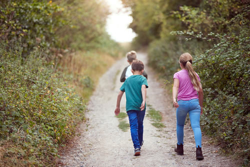 Rear,View,Of,Children,On,Outdoor,Activity,Camping,Trip,Walking
