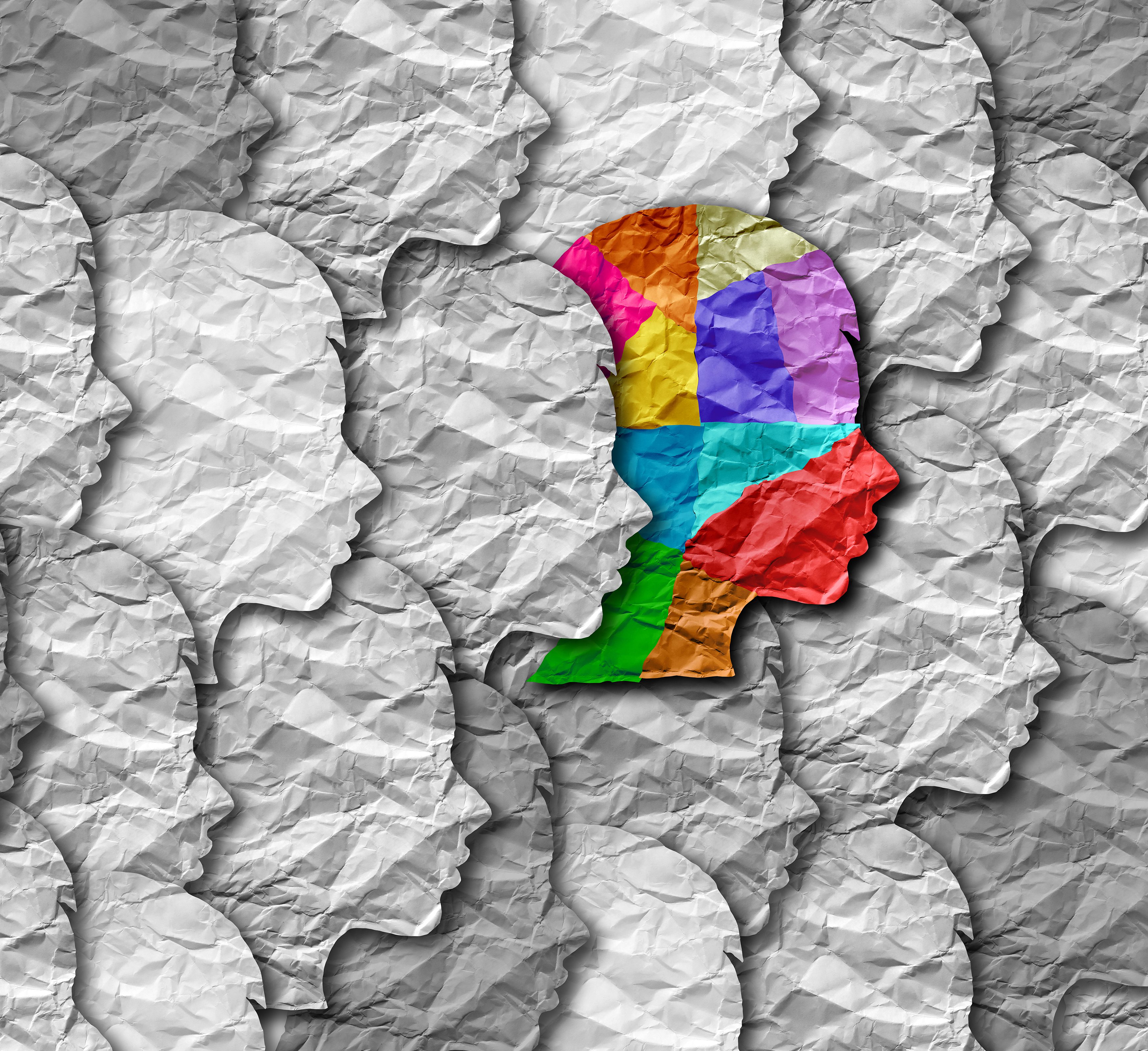 shutterstock_1338562577